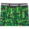 Minecraft Little/Big Boy's Lounge Pajama Pants - 2 of 4
