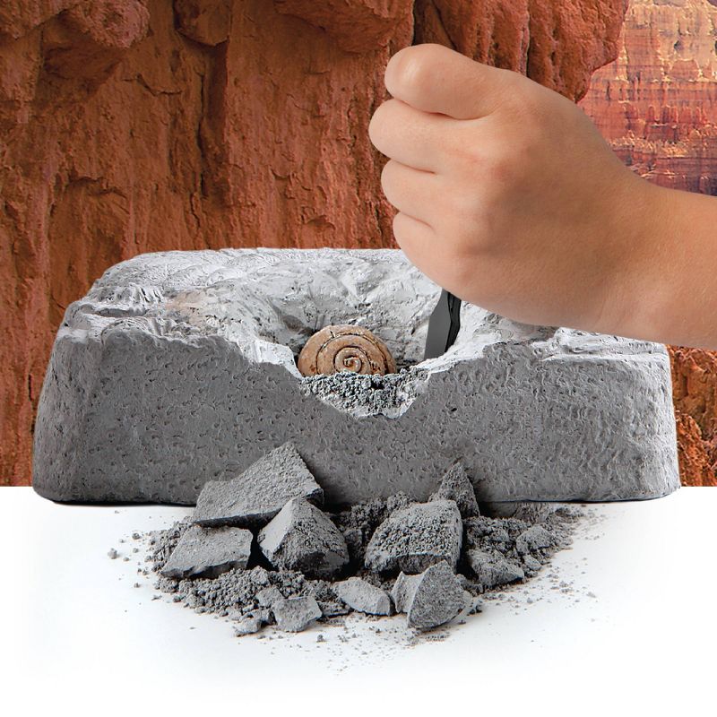 Discovery #Mindblown Colossal Fossil Dig 15pc Excavation Kit, 4 of 10