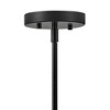 Lark Cirque 4 - Light Chandelier in  Black/Lacquered Brass - 4 of 4