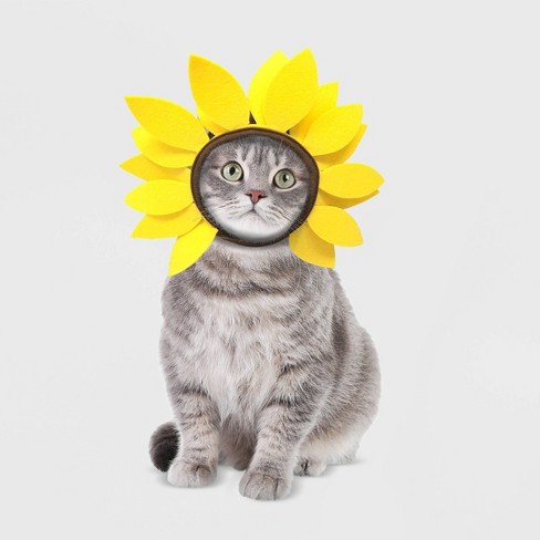 Sunflower Cat Costume - Hyde & EEK! Boutique™ - image 1 of 4