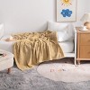 Flannel Fuzzy Toddler Blanket, Fluffy Warm and Lightweight Baby Plush Blanket - NTBAY - 3 of 4