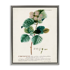 Stupell Industries Scientific Botanical Plant Seeds Floating Frame Canvas Art - 1 of 4