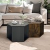 CENGHU Modern Hexagonal Coffee Table, Nightstand with Storage, Burmese Sumac, 23.62" Side Table for Living Room, Dining  Room, Bedroom, Black Brown - 3 of 4