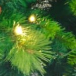 green + polyethylene + pvc