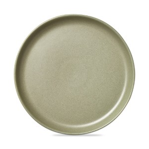 TAG Logan Salad Plate Stoneware Dishwasher Safe Sage, 9.5. inch. Set 4 - 1 of 3