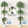 Realistic Artificial Ficus Tree, Faux Floor Plant with White Ceramic Pot, Lifelike Fake Ficus Tree - 3 of 4