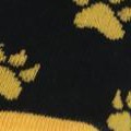 black cat