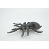 Spider, Tarantula, Theraphosidae, Solid Rubber Arachnids, Toy, Kids, Realistic Figure, Model, Figurine, Replica, Gift, 4 Inches  ABC16 B263 - 4 of 4