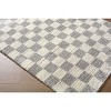 Hauteloom Belita Tan Luxe Shag Area Rug - 4 of 4