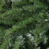 BH Norway Spruce - 4 of 4