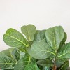 48" Artificial Fiddle Leaf Fig Tree in Pot Black - Nearly Natural - image 2 of 3