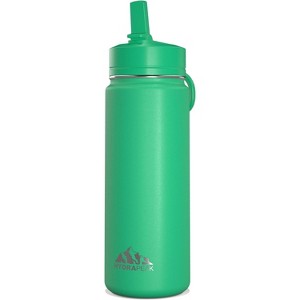 Hydrapeak 20oz Kids Stainless Steel Leak Proof Water Bottle with Straw Lid and Flexible Handle - 1 of 4