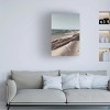 Trademark Fine Art - Incado Ocean Beach Driftwood Canvas Art - image 2 of 4