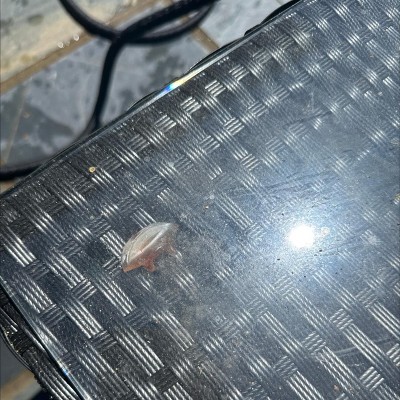 Guest review image 1 of 3, zoom in