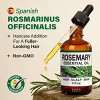 Rosemary Essential Oil (4 Fl Oz / 118 ml) - KUKKA Rosemary Oil for Hair, Skin, Aromatherapy & Soap Making Scent - 3 of 4