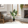 Gulches 37in Artificial Aureum Tree in Black Pot Green Real Touch Leaves Indoor Faux Floor Plant for Home Office Decor - 2 of 4