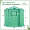 EAGLE PEAK 6.6x6.6 ft Hexagon Pop up Greenhouse, Portable Walk-in Grow Tent, All-Weather Plant Shelter - 3 of 4