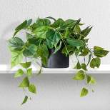 Forever Leaf Artificial Ivy Foliage Plant in Black Ceramic Pot, Indoor Artificial Plant for Home Decor