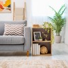 IRIS 2 Tier Wood Storage Shelf Brown/White: Small Bookshelf with Enclosed Shelves, 2 Drawers, 11 Inch Cube System Compatible - 3 of 4