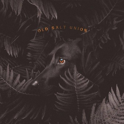 Old Salt Union - Where The Dogs Don't Bite (CD)