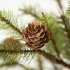 3' Sullivans Large Pinecone Tree In Burlap, Green - 2 of 3