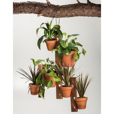 Solid Acacia Wood 6 Pot Hanging Plant Holder Set