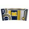 NCAA Michigan Wolverines 24oz Cool Vibes Eagle Tumbler - 3 of 4