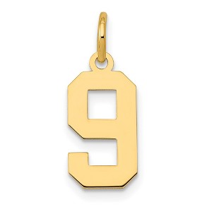 Black Bow Jewelry 14k Yellow Gold, Athletic Collection, Small Polished Number 9 Pendant - 1 of 4