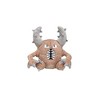 Pokemon Center: Sitting Cuties: Pinsir Plush # 127 -  Generation 1 - 6 In - 3 of 3