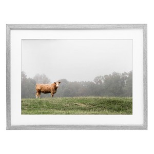 Stupell Industries Highland Grace Cattle Framed Print Under Glass, Gray, 20" x 14" - 1 of 4