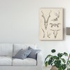 Ethan Harper "Skull And Antler Study I" Canvas Art - Trademark Fine Art - 3 of 4