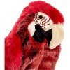 Folkmanis Puppets Scarlet Macaw Hand Puppet - 2362 - 3 of 4
