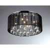 17" x 17" x 9" Crystal Ceiling Light Black - Warehouse of Tiffany: Chrome Finish, ETL Listed - 3 of 3