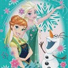 Northwest Frozen Woven Tapestry Throw Blanket, 48" x 60", Frozen Fever - 3 of 4