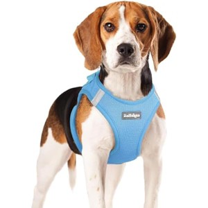 rabbitgoo Small Dog Harness, Step-in Soft Mesh Reflective Pet Harness for Small Medium Dogs, Blue XL - 1 of 1