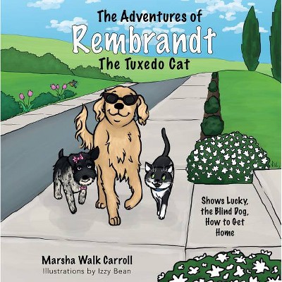 The Adventures of Rembrandt the Tuxedo Cat - by  Marsha Walk Carroll (Paperback)