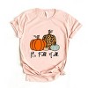 Simply Sage Market It's Fall Y'all Pumpkins Short Sleeve Tee - 2XL - Blush - 2 of 4