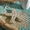 Split P Starfish Metal Trivet - 2 of 4