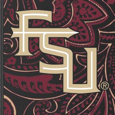 florida state seminoles athletic wordmark