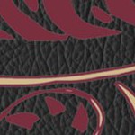 florida state seminoles athletic wordmark