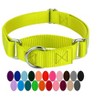 Country Brook Design Martingale Heavyduty Nylon Dog Collar - 4 of 4