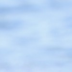 black+grey + green + oxford fabric + yes