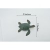 Collectible Wildlife Gifts | Sea Turtle, Two Tone Color, High Quality, Hand Painted, Rubber Reptile, Realistic, Model, Toy, Gift,   3" F0024 B22 - 2 of 4