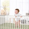 Sweet Jojo Designs Gender Neutral Baby Fitted Crib Sheet Boho Hatch Green and White - 2 of 4