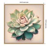 Amanti Art Echeveria Pulidinis by Incado Framed Canvas Wall Art - 4 of 4
