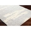 Hauteloom Aysun Gray Plush Area Rug - 4 of 4