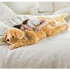Plow & Hearth Super Soft Golden Retriever Body Pillow with Realistic Features - 2 of 3