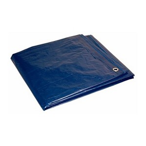 Foremost 16 ft. W X 20 ft. L Light Duty Polyethylene Tarp Blue - 1 of 1
