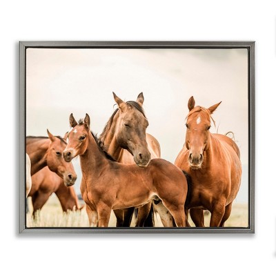 Stupell Industries Horse & Foals Photography, 21" x 17"
