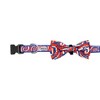 The Worthy Dog Kaleidoscope Bow Tie Accessory - 4 of 4